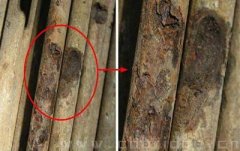 б���������^��ʹ�ó�������Է�