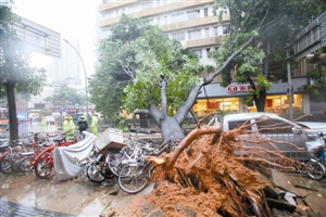 ���ֺ��R ������늾W(w��ng)�cٝ