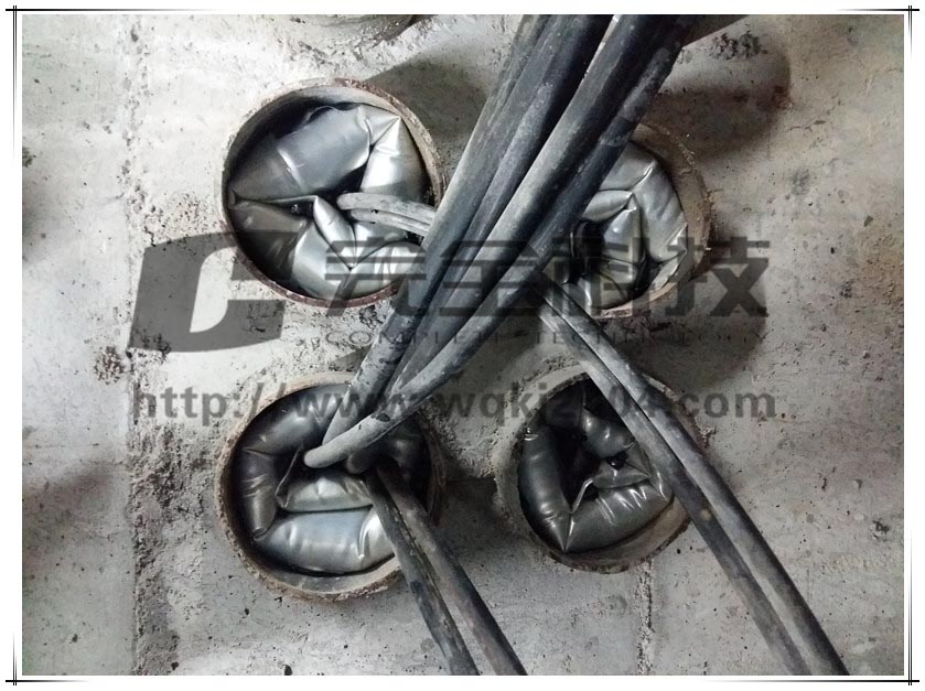 �������Ĺ��̑���